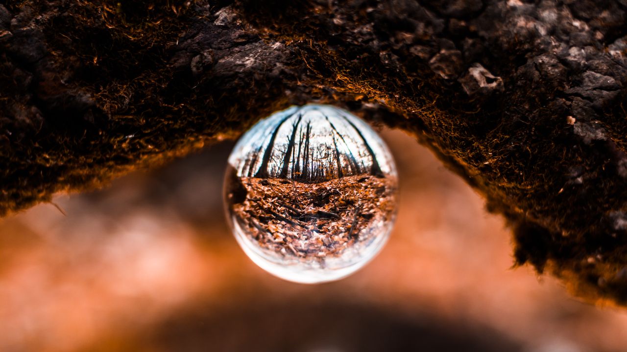 a glass ball with trees in it - Fokus Klarheit beim Markenaufbau